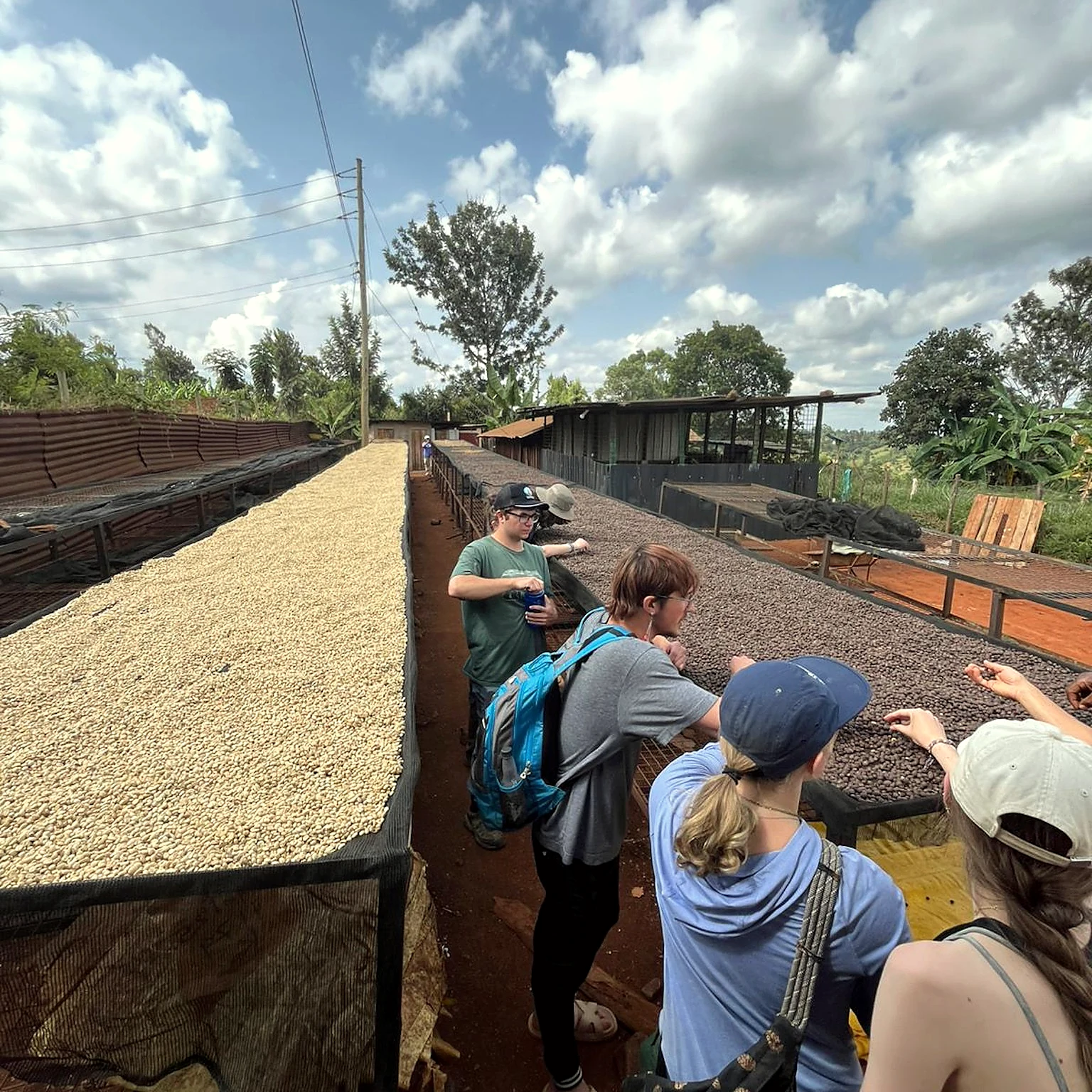 Guests learning about coffee processing at the farm